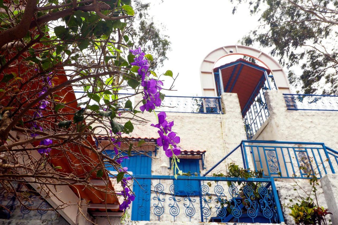 Hotel Greek Glory Панчгани Экстерьер фото